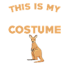 Funny Kangaroo Costume