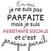 Pas Parfaite Mais Assistante Sociale