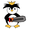 Zoo Penguin Seabird Animal Bird Arctic