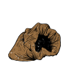 Alter Sack