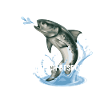 Fisch Spruch lustig