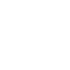 Main Azawakh Paw