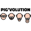 Pig'volution - evolution of man