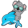 Koala and Delfin