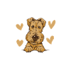 Airedale Terrier Dog
