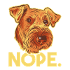 Airedale Terrier Dog