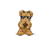 Airedale Terrier Chien