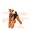 Airedale Terrier Chien