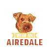 Airedale Terrier Chien