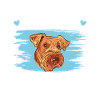 Airedale Terrier Chien