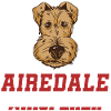 Airedale Terrier Chien