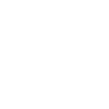 Airedale Terrier Chien