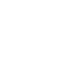 Airedale Terrier Dog