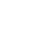 Airedale Terrier Dog