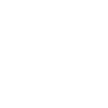 Akita Inu américain