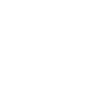 Akita Inu américain