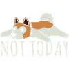 Akita Inu américain