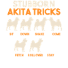 Akita Inu américain