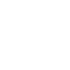 American Akita Inu