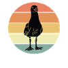 Gull