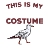 Costume d’homme de mouette