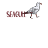 Team Seagull