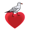 Chemise cœur de mouette
