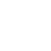 Poulet seagull Beach