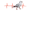 Seagull Heartbeat Gift