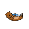 Official sleepshirt Otter