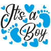 Its A Boy Pregnancy