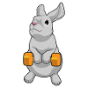 Bunny Bodybuilder Dumbbell Bodybuilding