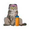 Bouteille d’eau Cat Fitness