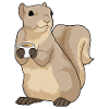 Squirrel Coffee Cup