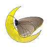 Lune papillon
