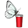 Schmetterling Trinkbecher