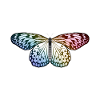 Papillon Arc-en-ciel