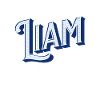 Liam name personalized