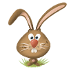 Cute Rabbit Teeth Funny
