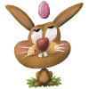 Funny Rabbit Pet