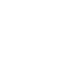 Typ Kamel Spruch
