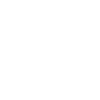Typ Kamel Spruch