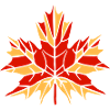 Autumn leaf
