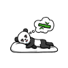 Official sleepshirt Panda