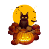 Chaton d’Halloween