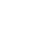 I like Birds