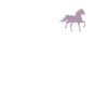 Équitation Cheval Pocket Design