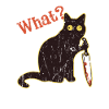 What - cat owner