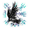 Trash raven Vikings Vegvisir