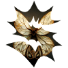 Abstract Butterfly